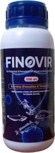 Finovir