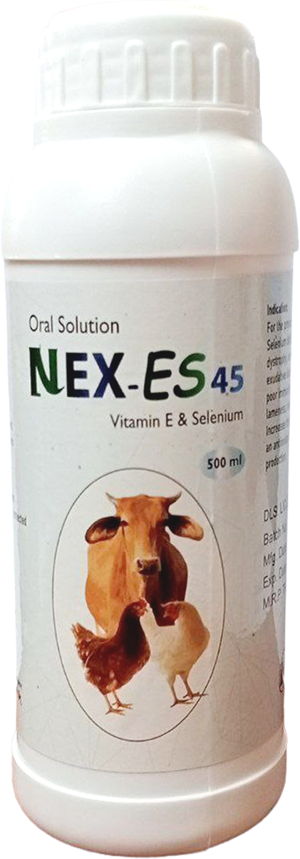 NEX-ES 45