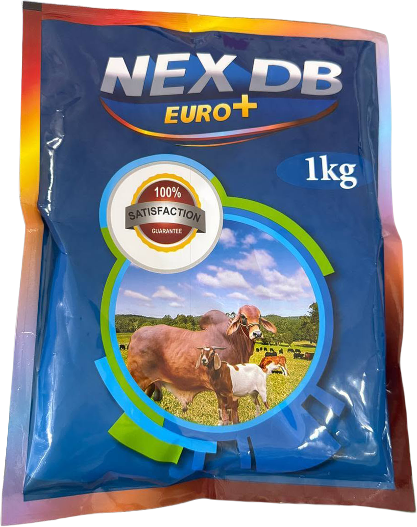 NEX-DB Euro
